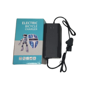 EV CHARGER AQ 60V+3A