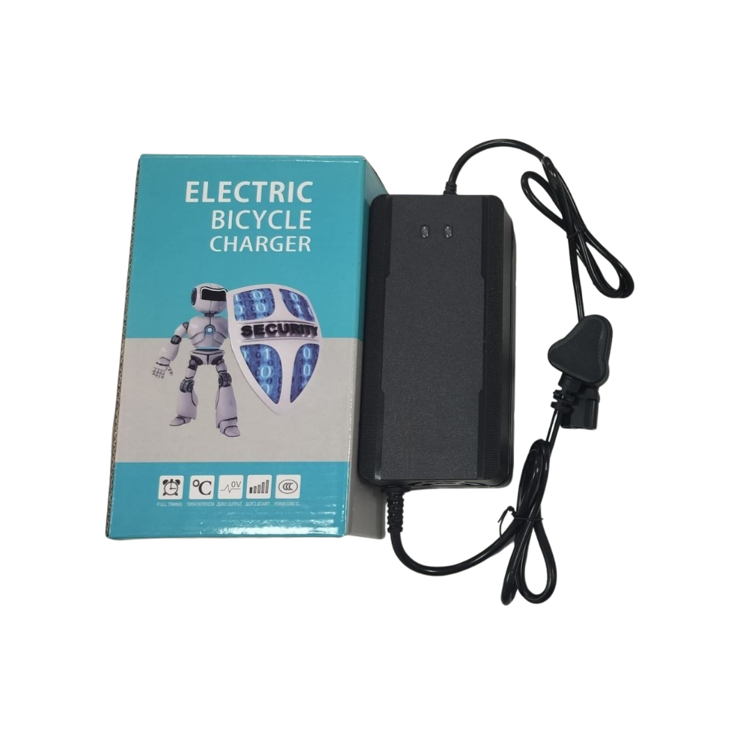 EV CHARGER AQ 60V+3A