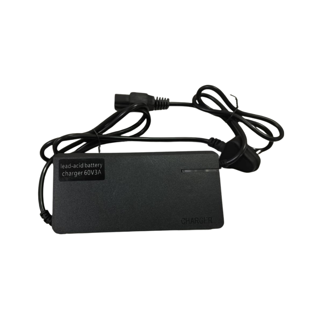 EV CHARGER LEAF 60V+3A